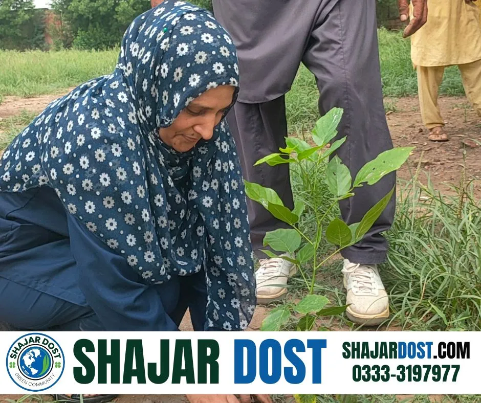 Green Seekers Activity